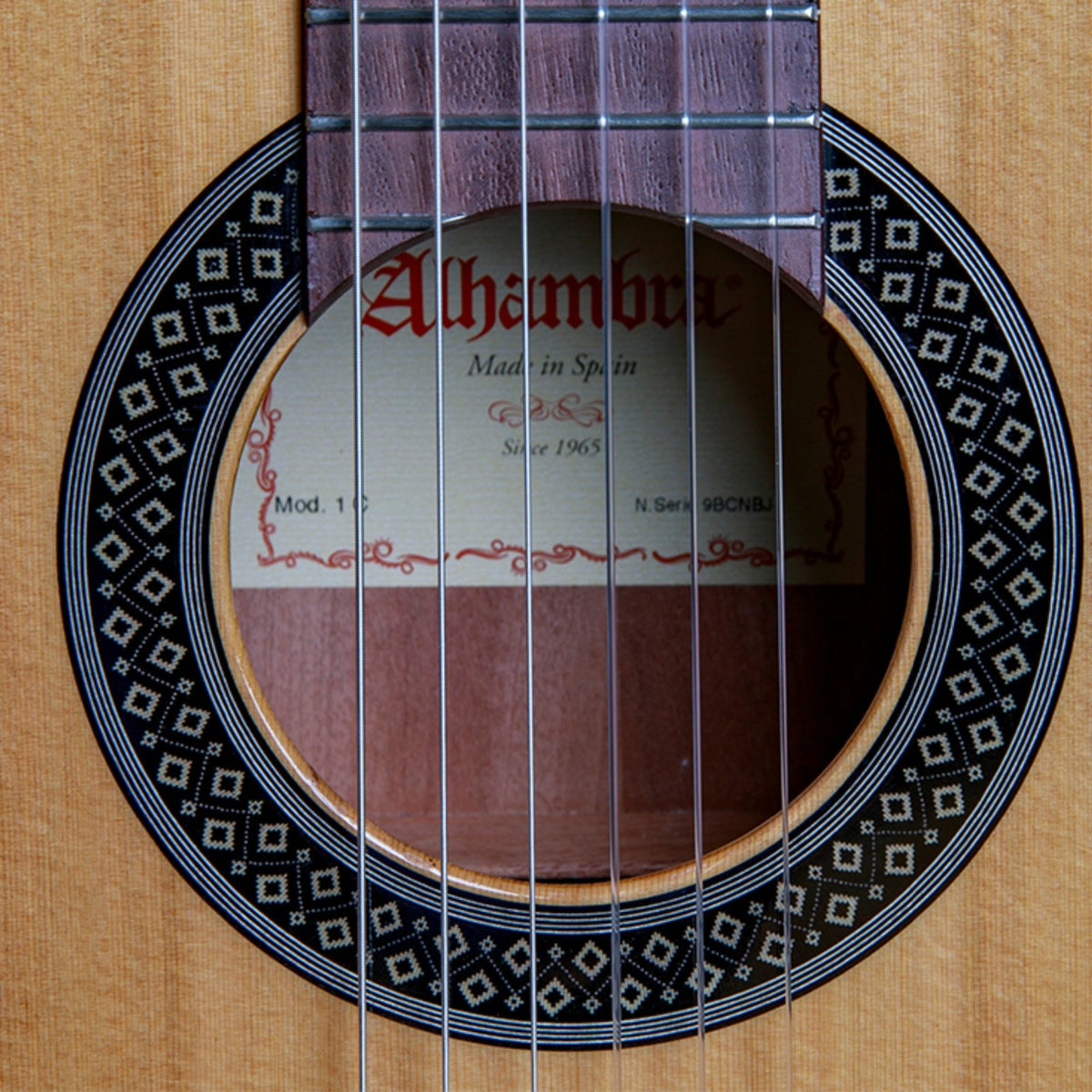 Alhambra 1 C Ht (Hybrid Terra) 4