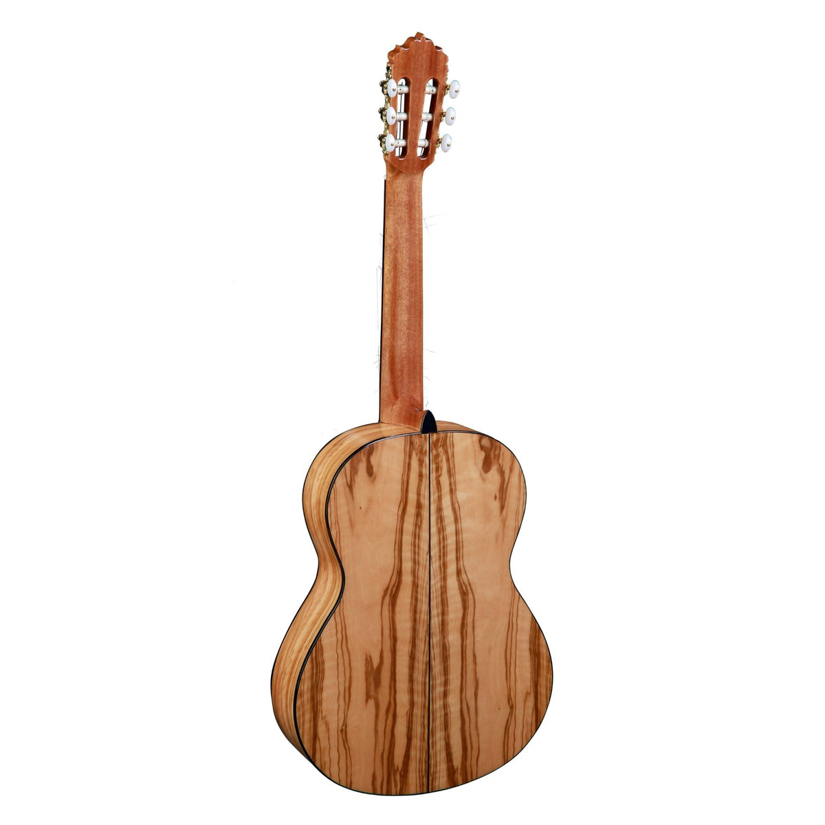 Alhambra 6 Olivo 2