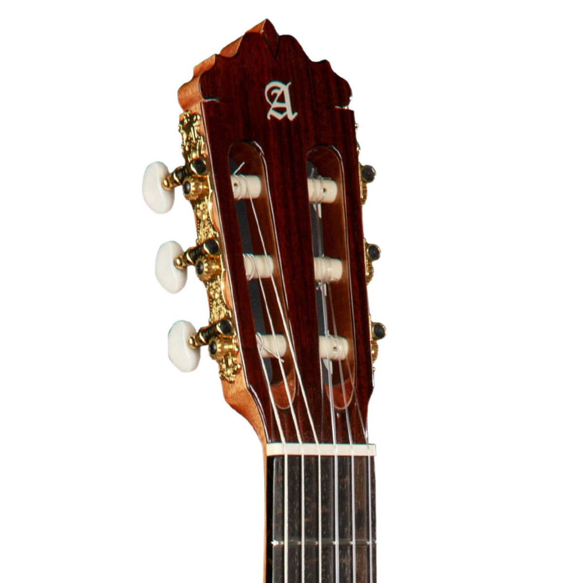 Alhambra 6 Olivo 3