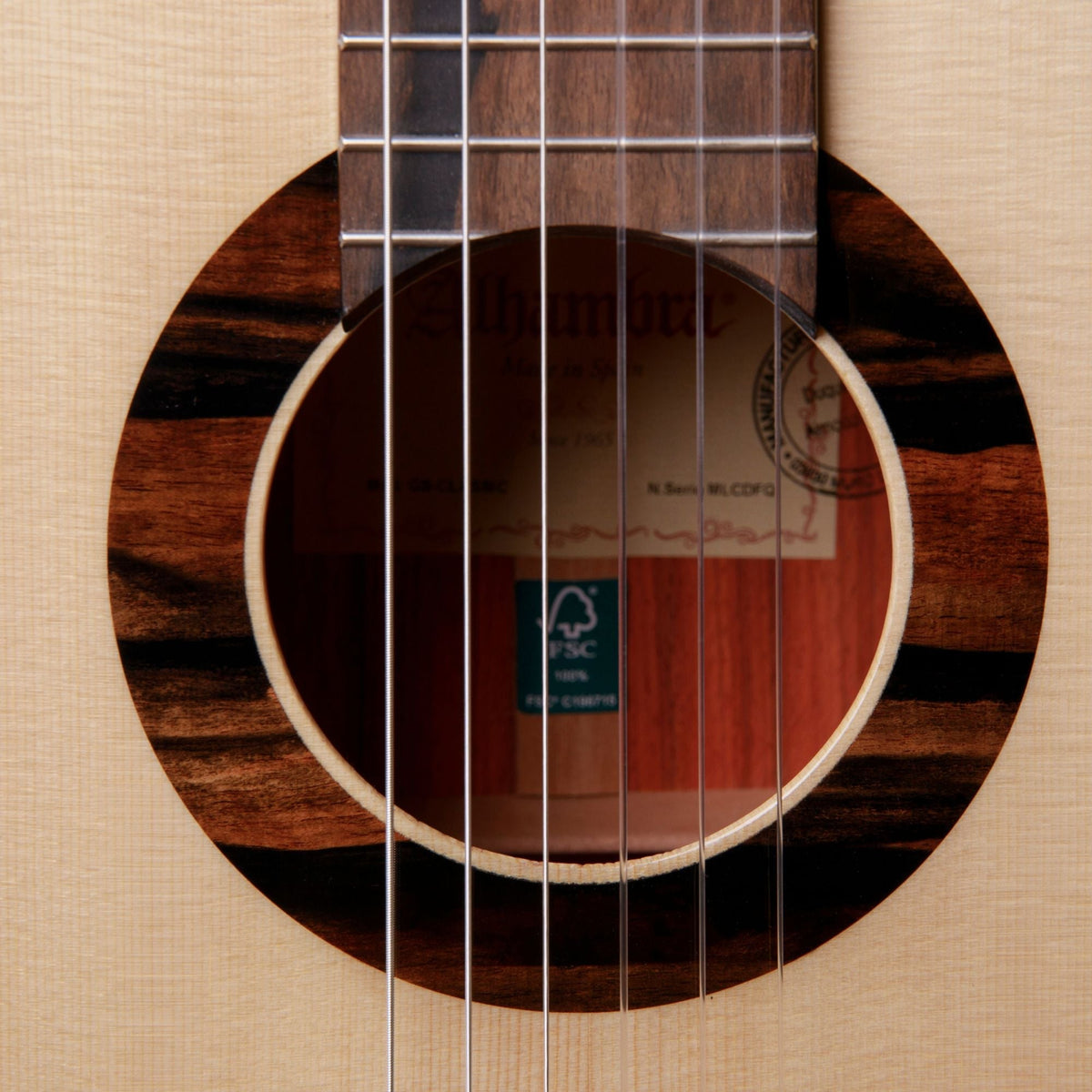 Alhambra Green Sustain Classical 6