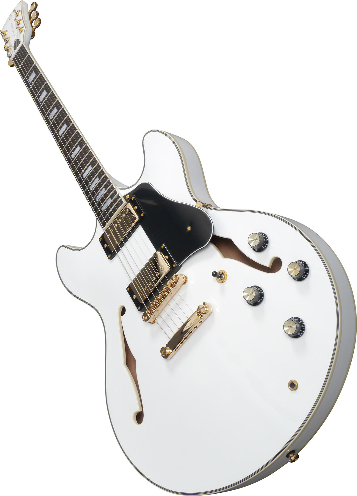 LARRY CARLTON H7 WH Hollow Body EN 3