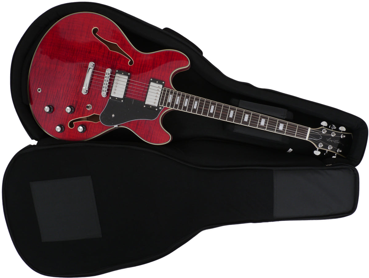 Larry Carlton S3 Ts Rn 3