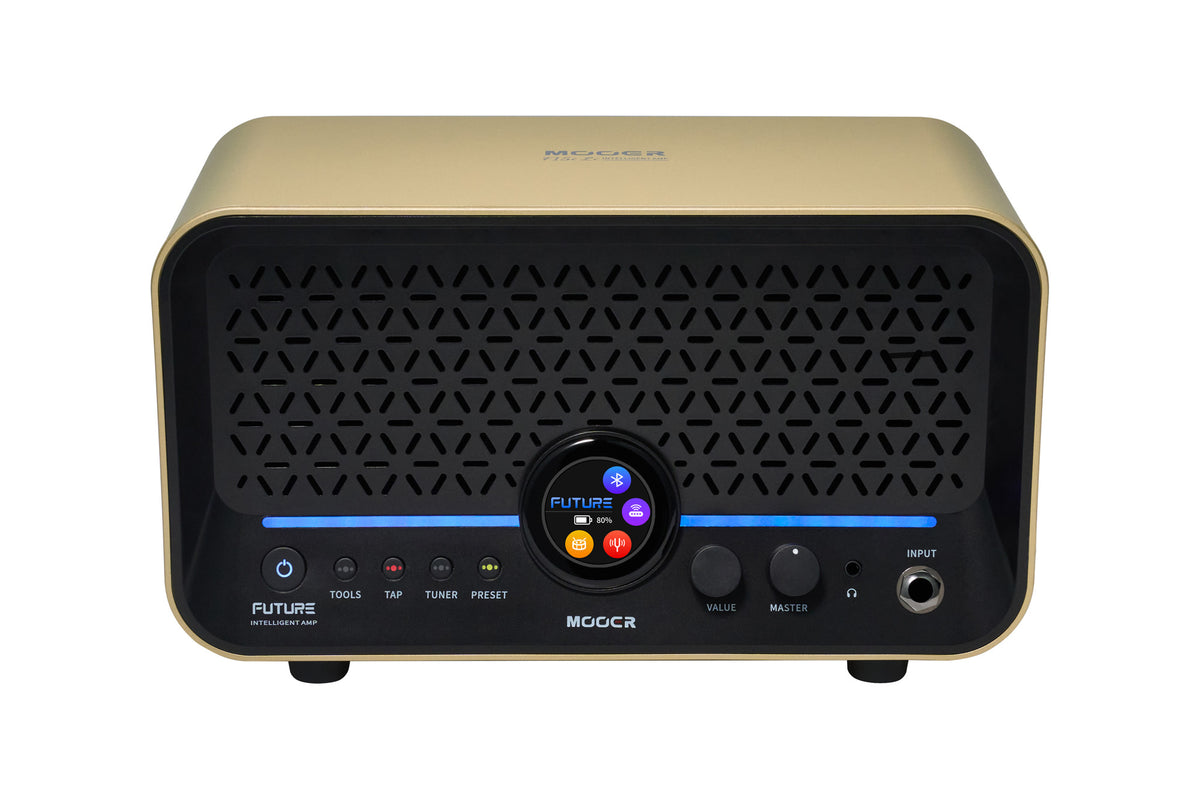 Mooer F15I Li 15W Dore 5