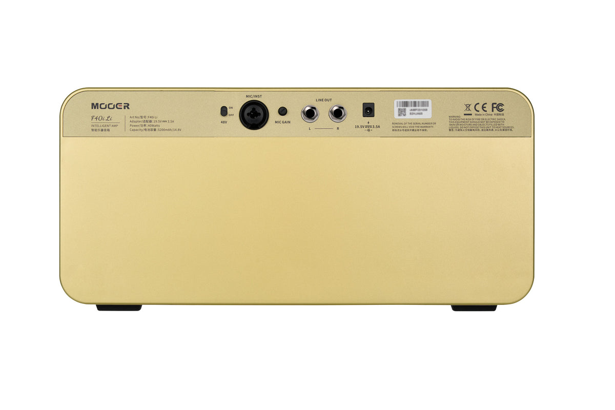Mooer F40I Li 40W Dore 10