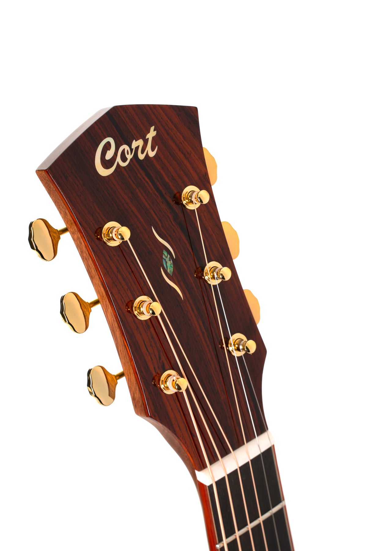 Cort Gold A10, Cocobolo Naturel Brillant 10