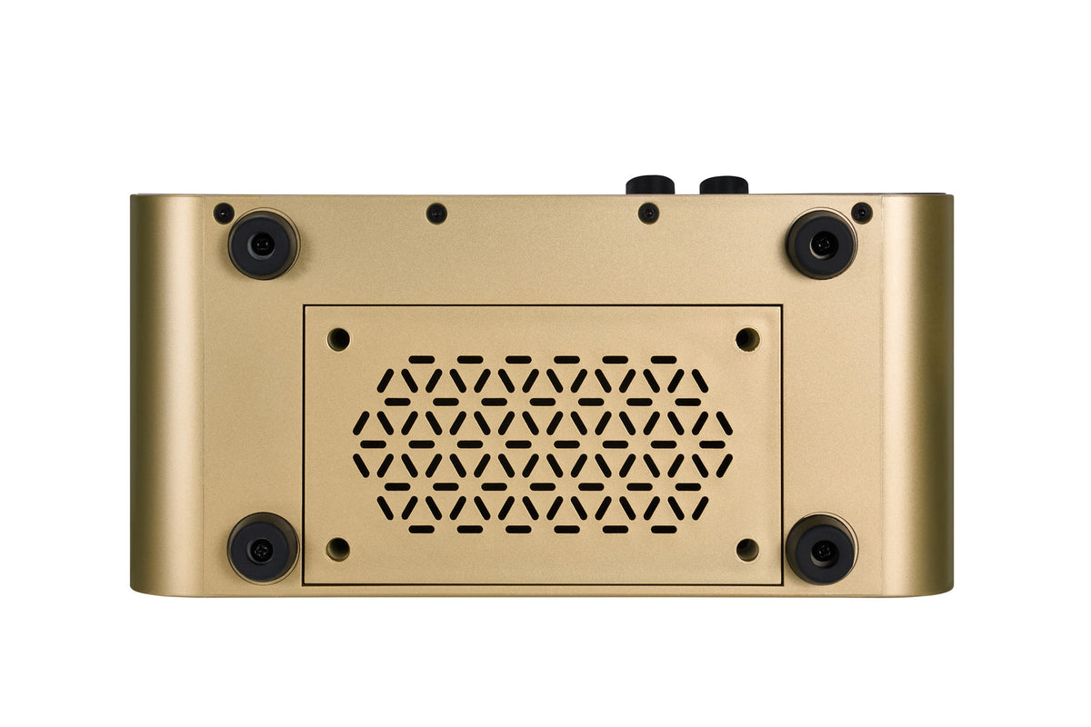 Mooer F15I Li 15W Dore 10