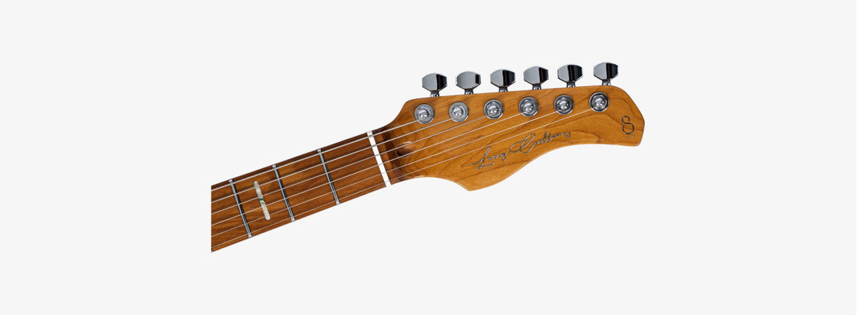 LARRY CARLTON S7 Ash Top NT 5