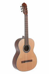 Pack Guitare 4/4 Gewa Student (Guitare + Housse + Accordeur Clip2)