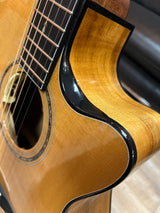 Cort Gold-Edge Le Nat.brillant
