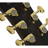 Cort Modern Burst