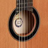Alhambra 6 Olivo 4