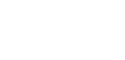 Bourgeois Guitars