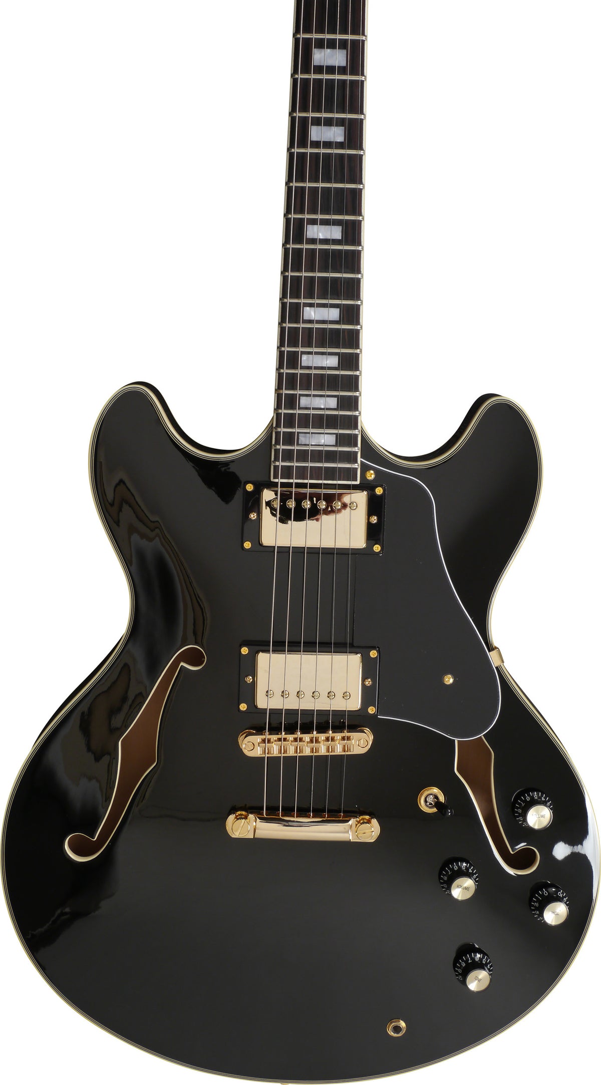 Larry Carlton H7 Lh Bk Hollow Body En 2