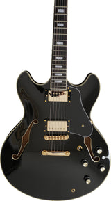 Larry Carlton H7 Lh Bk Hollow Body En 2
