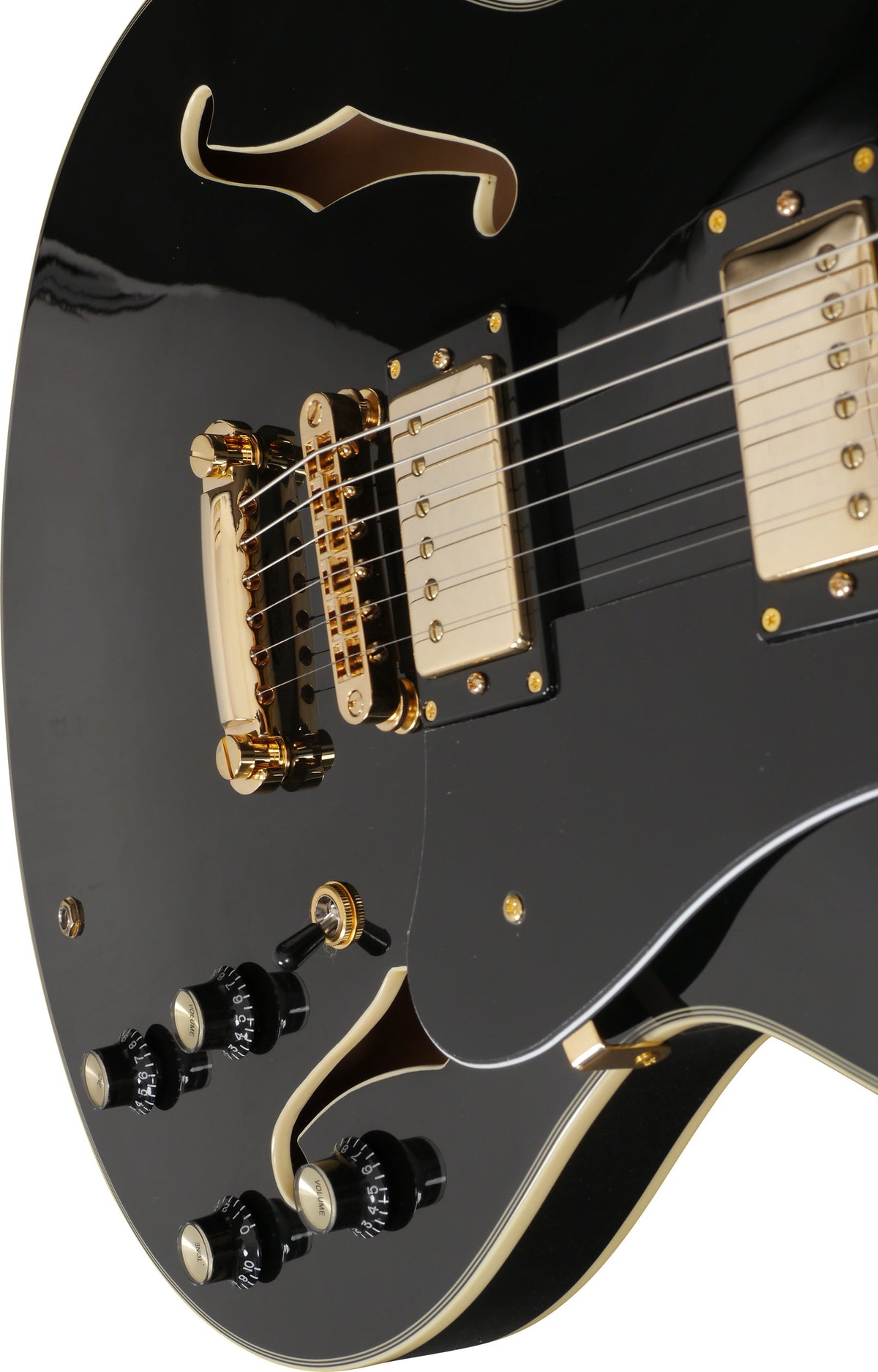Larry Carlton H7 Lh Bk Hollow Body En 4