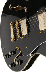 Larry Carlton H7 Lh Bk Hollow Body En 4