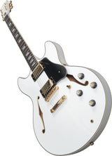 LARRY CARLTON H7 WH Hollow Body EN 3