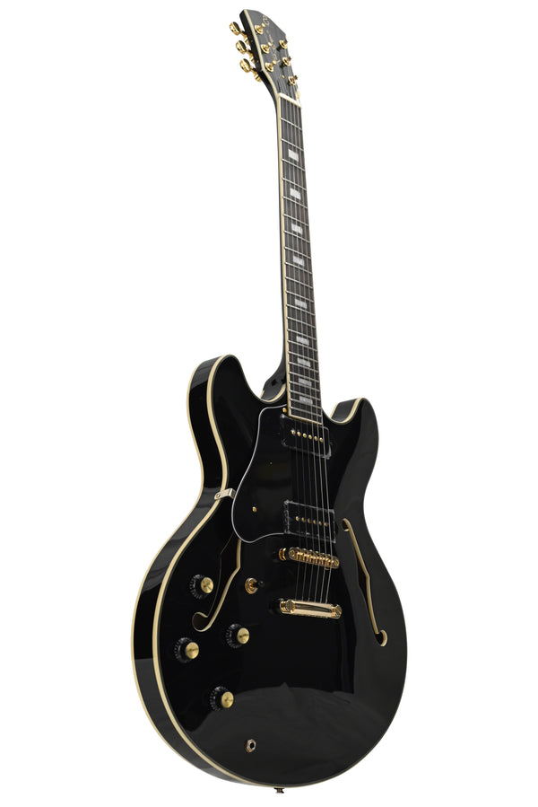 Larry Carlton H7v Lh Bk En