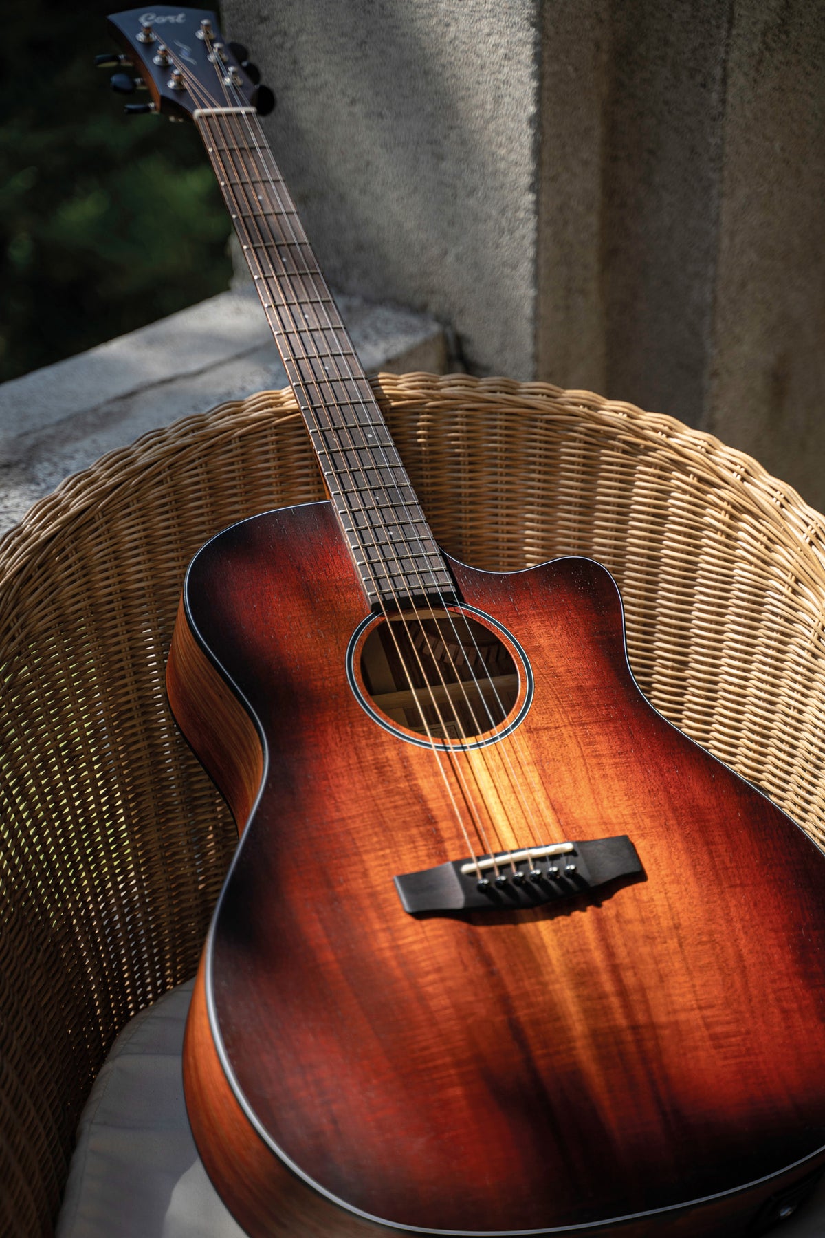 Cort Core-ga Blackwood L. Burst 6