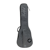 Housse Ritter El Les Paul Gris 1