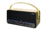 Mooer F40I Li 40W Dore 4