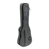 Housse Ritter El Les Paul Gris 2