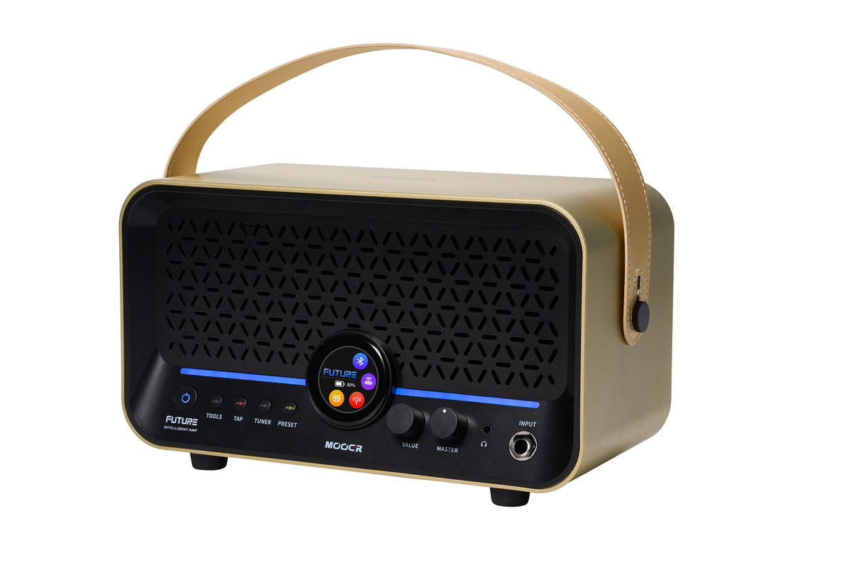 Mooer F15I Li 15W Dore 2