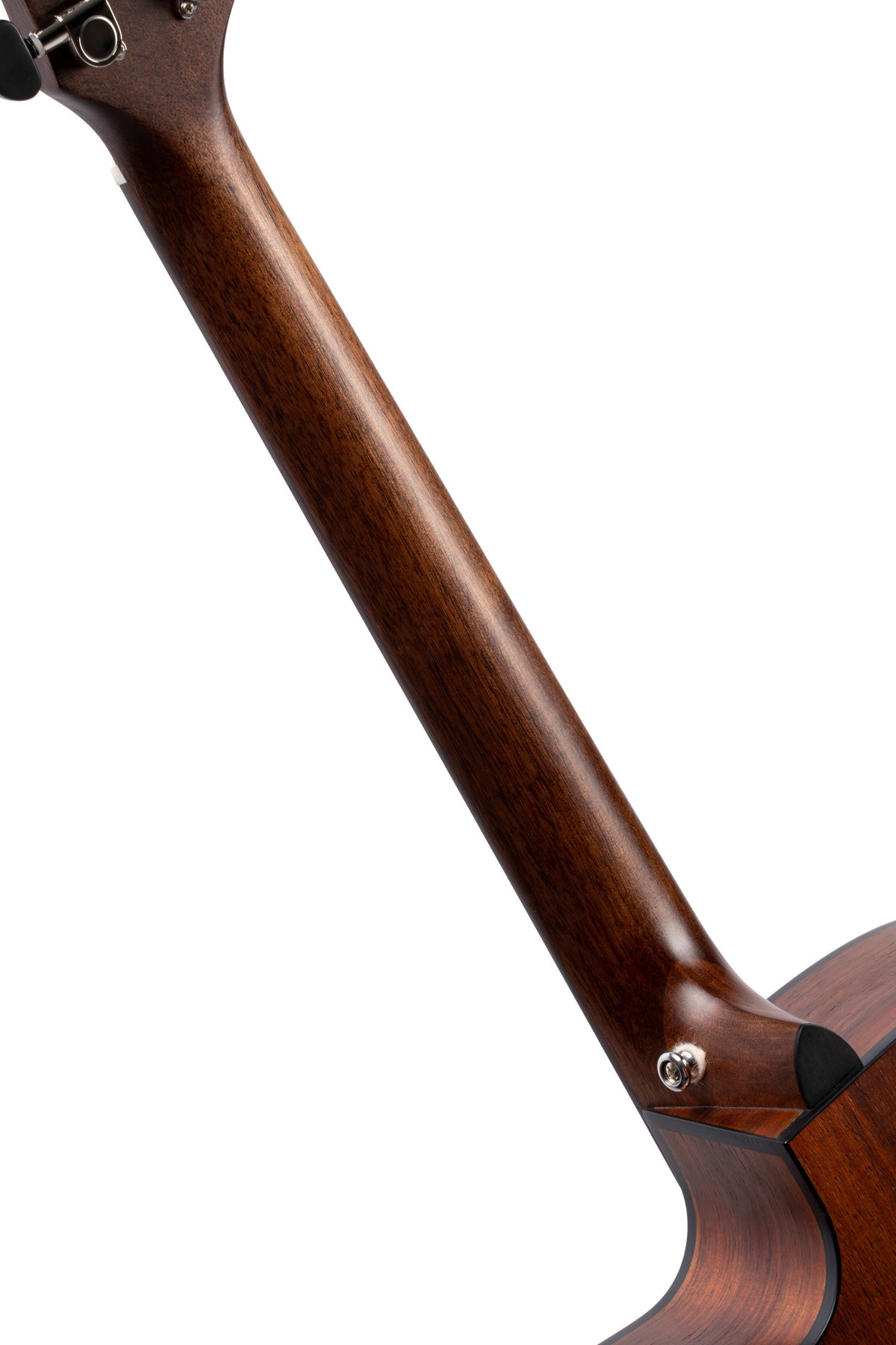 Cort Core-oc Blackwood L. Burst 4