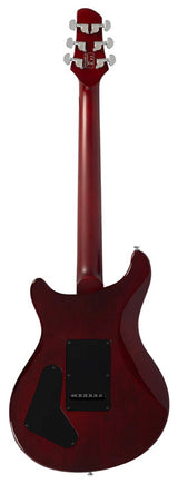 Larry Carlton Q3 TS 2