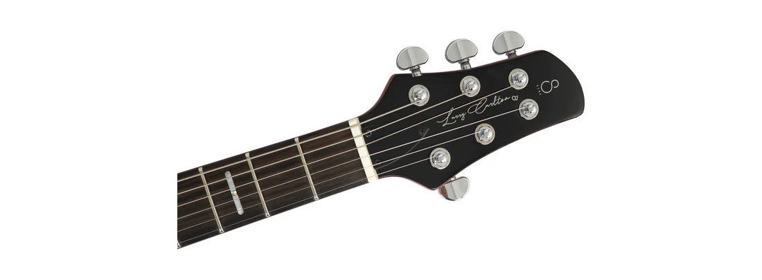 Larry Carlton Q7 MGO 4