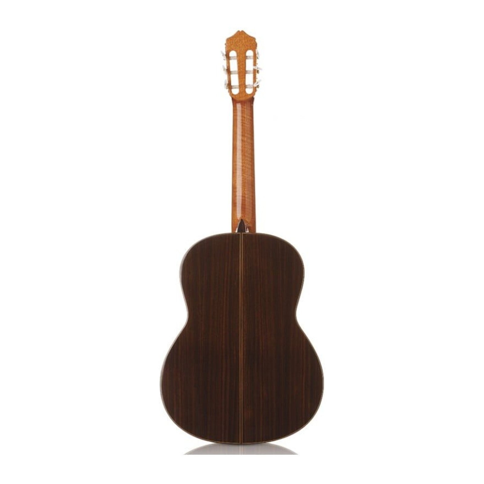 CORDOBA C7 Spruce