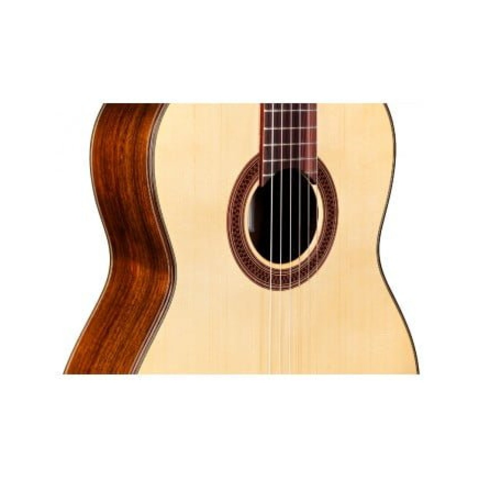 CORDOBA C7 Spruce