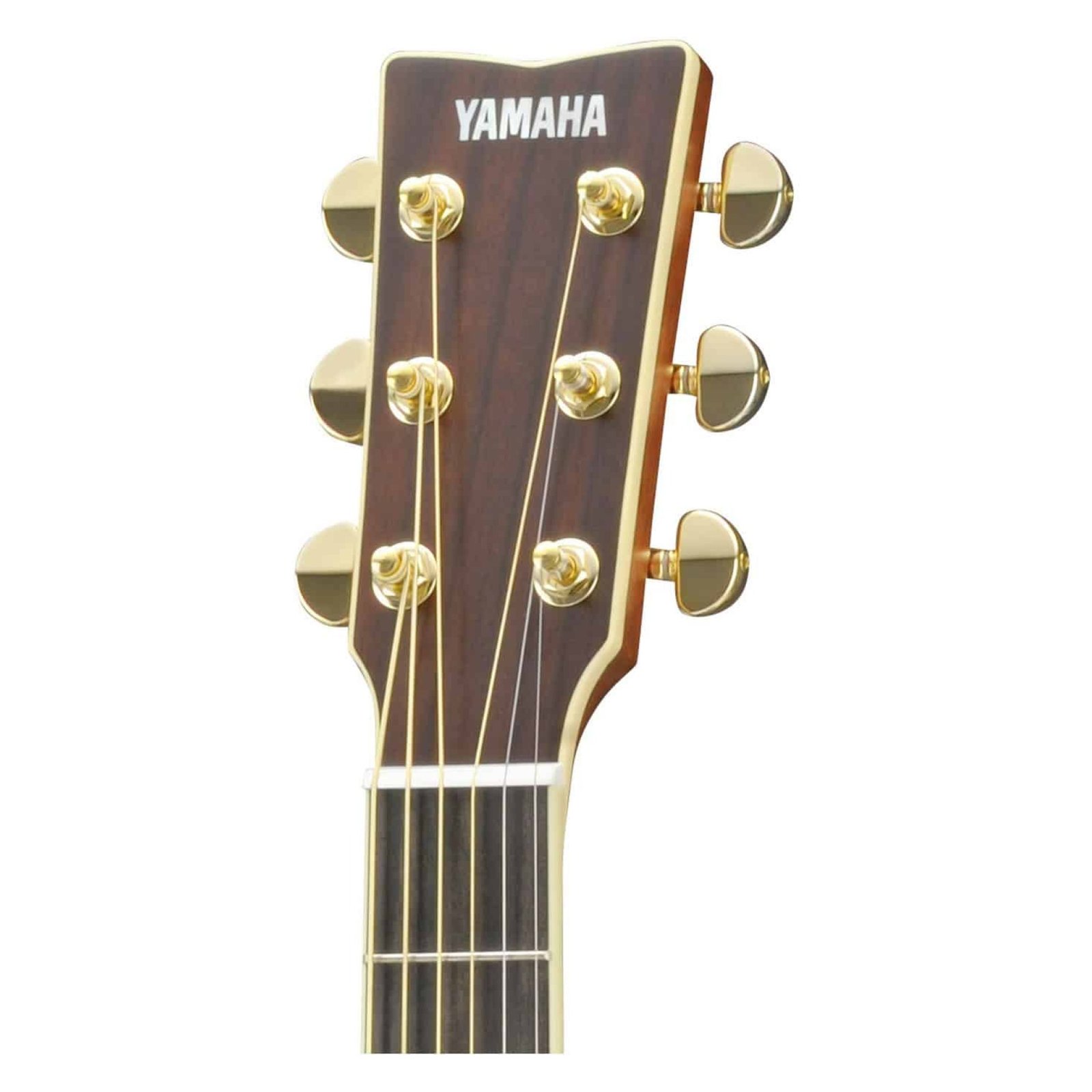 yamaha-ls16-are-head-guitare