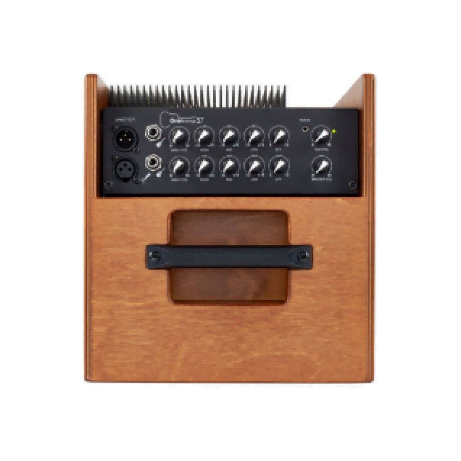 ACUS AC075 OneForStrings 5T Wood stage