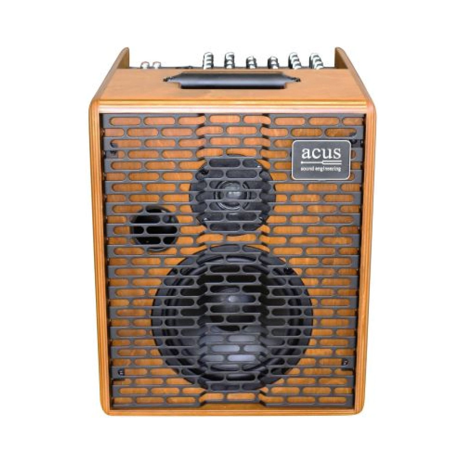 AC067 Amplificateur GT ACUS OneForStrings 6T Wood