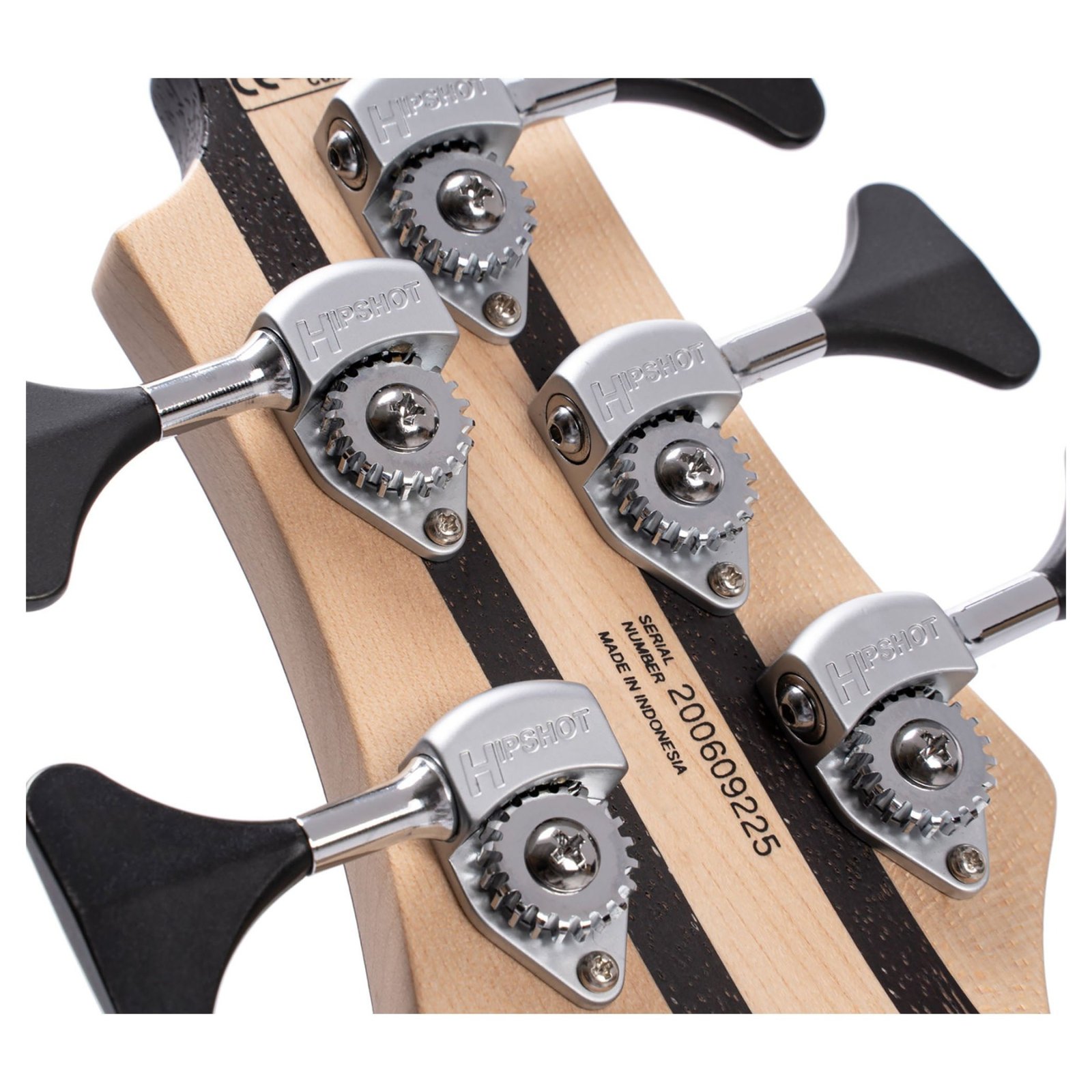 BASSE CORT A5 BEYOND BUBINGA NAT ETUI