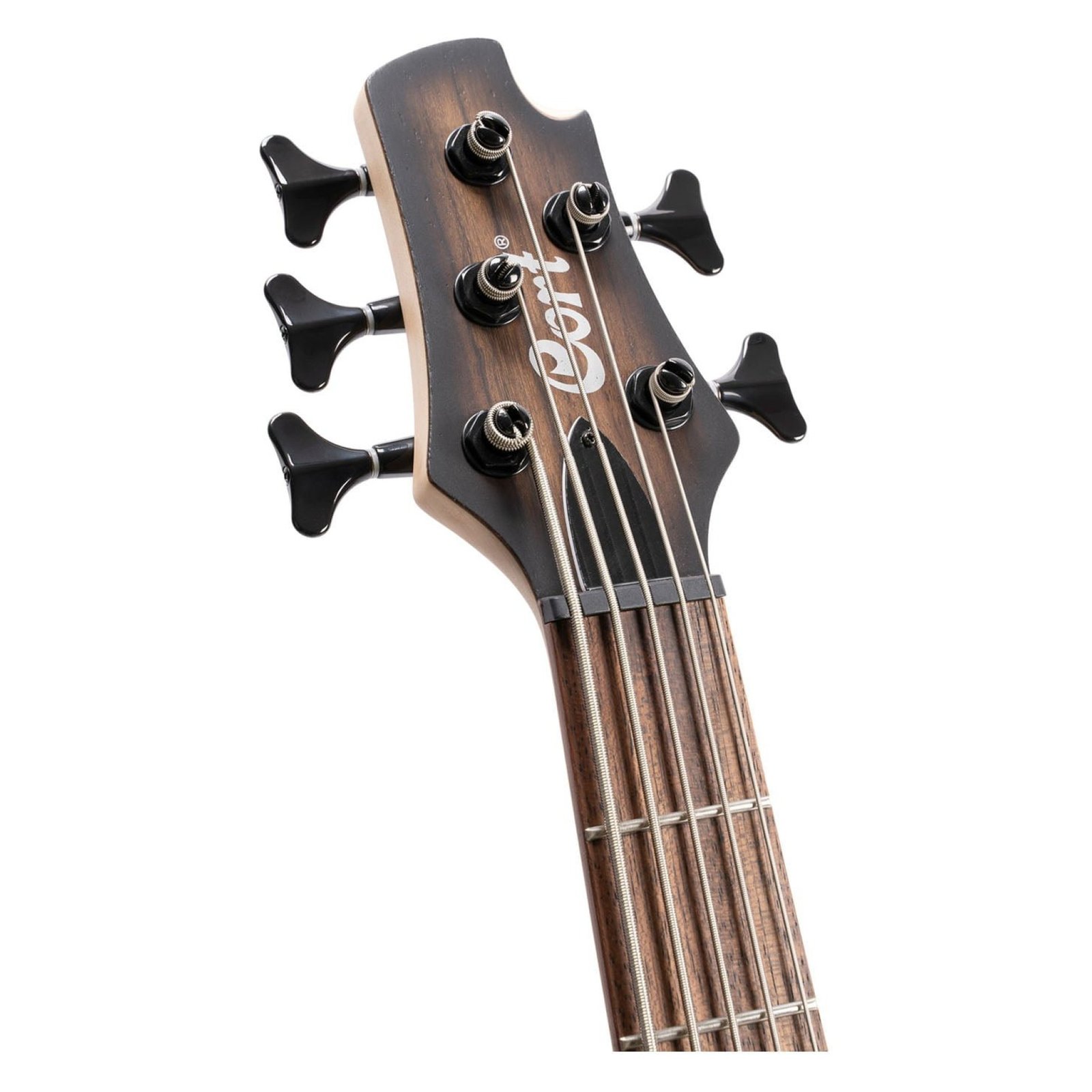 BASSE CORT C5 PLUS ANTIQUE BROWN BURST