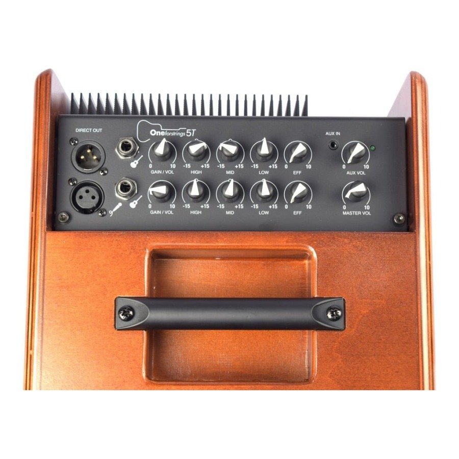 ACUS OneForStrings 5T Wood