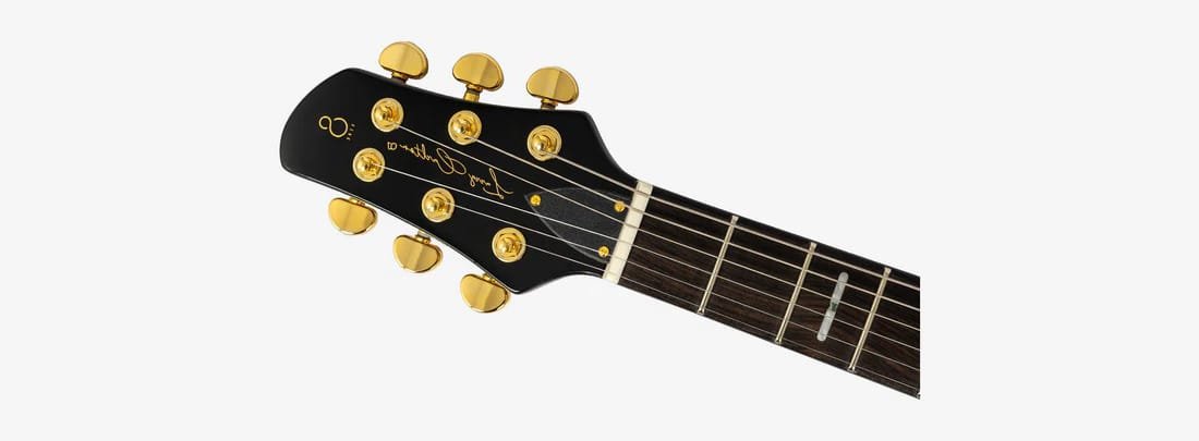 Larry Carlton Q7 LH BK