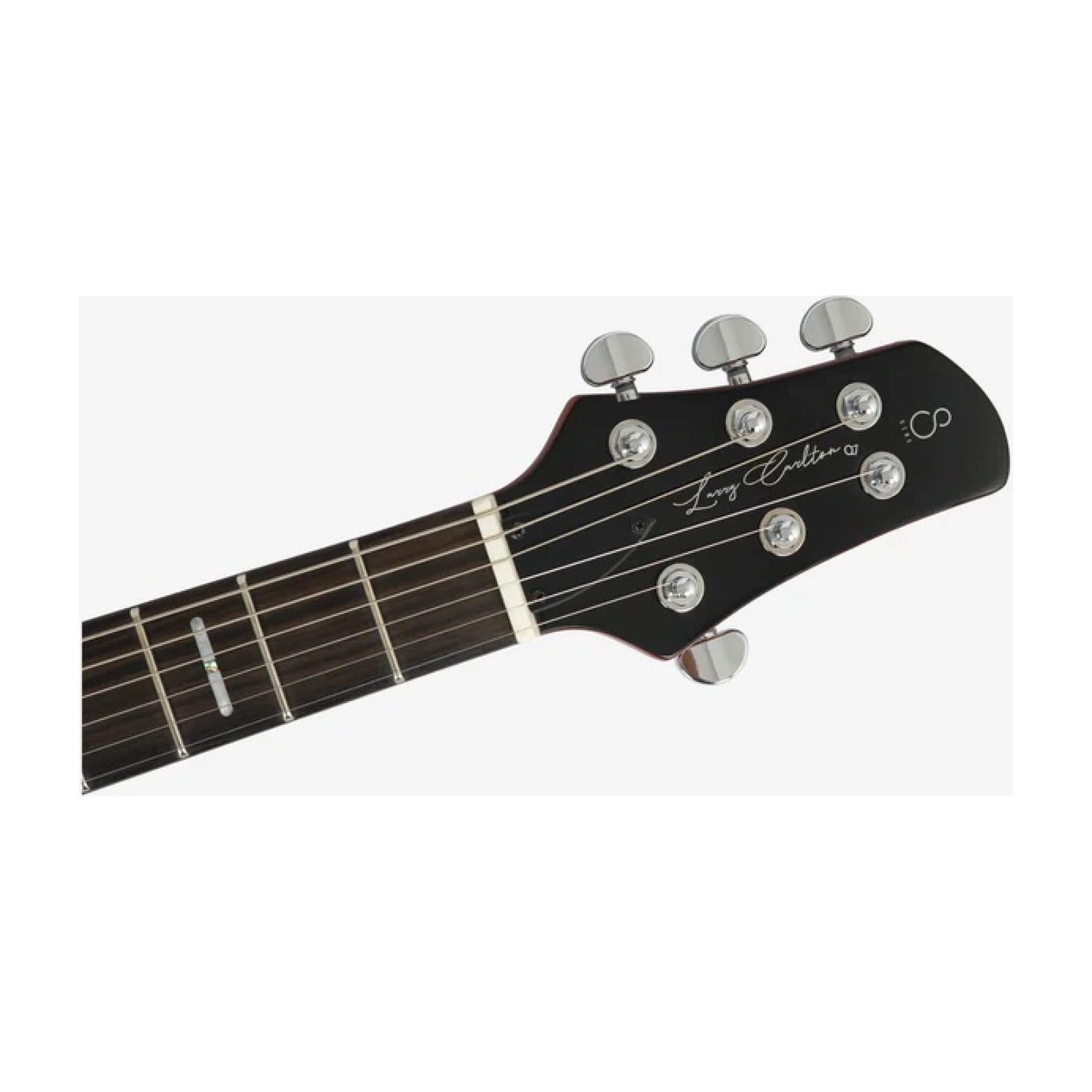guitar-tech-larry-carlton-q7-mgo-9.jpg