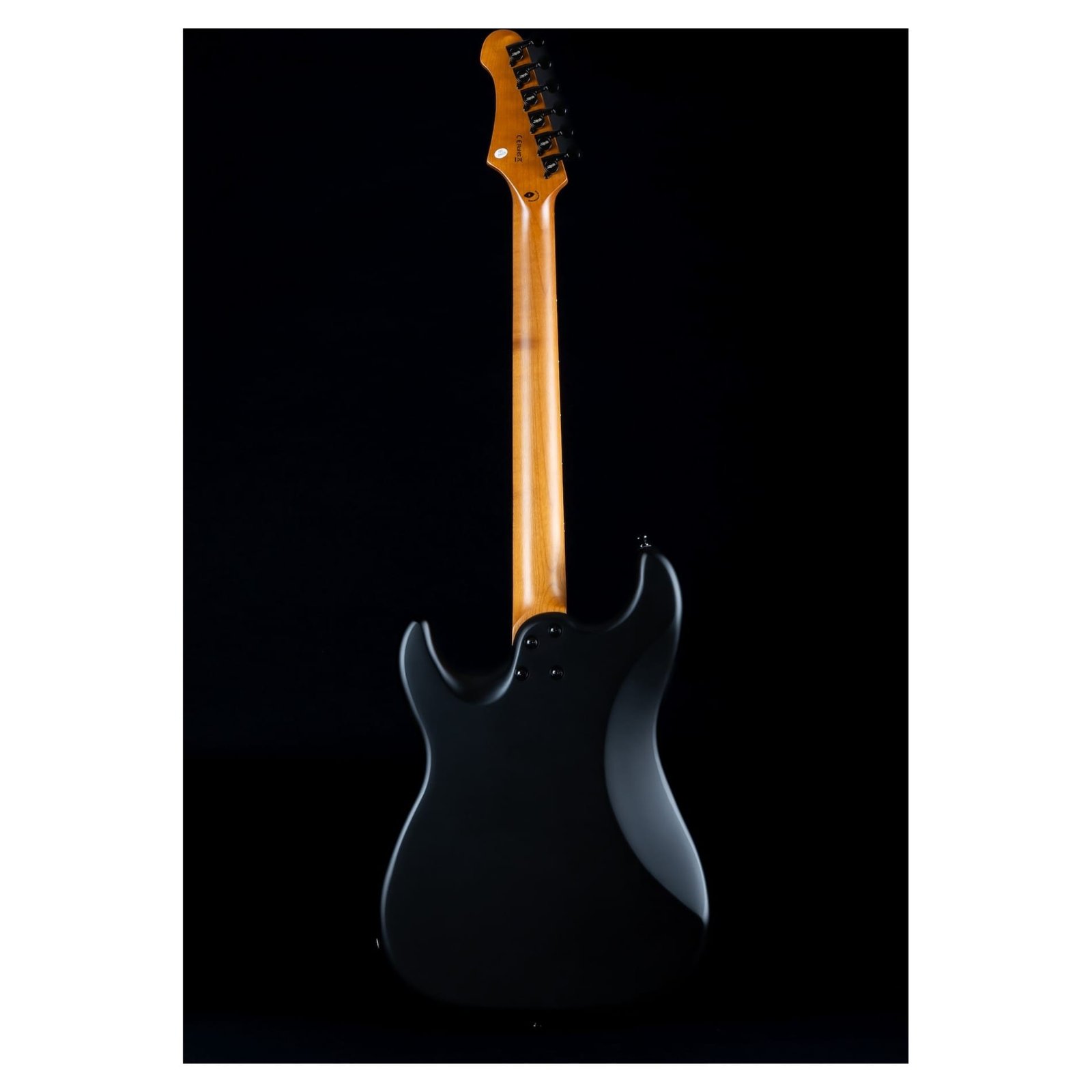 jet-guitars-js-400-matt-black-rosewood-4.jpg