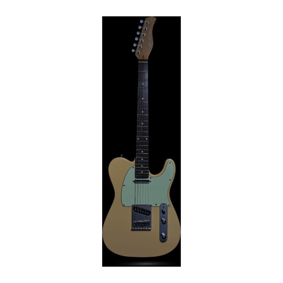 Larry Carlton T3 VWH RN