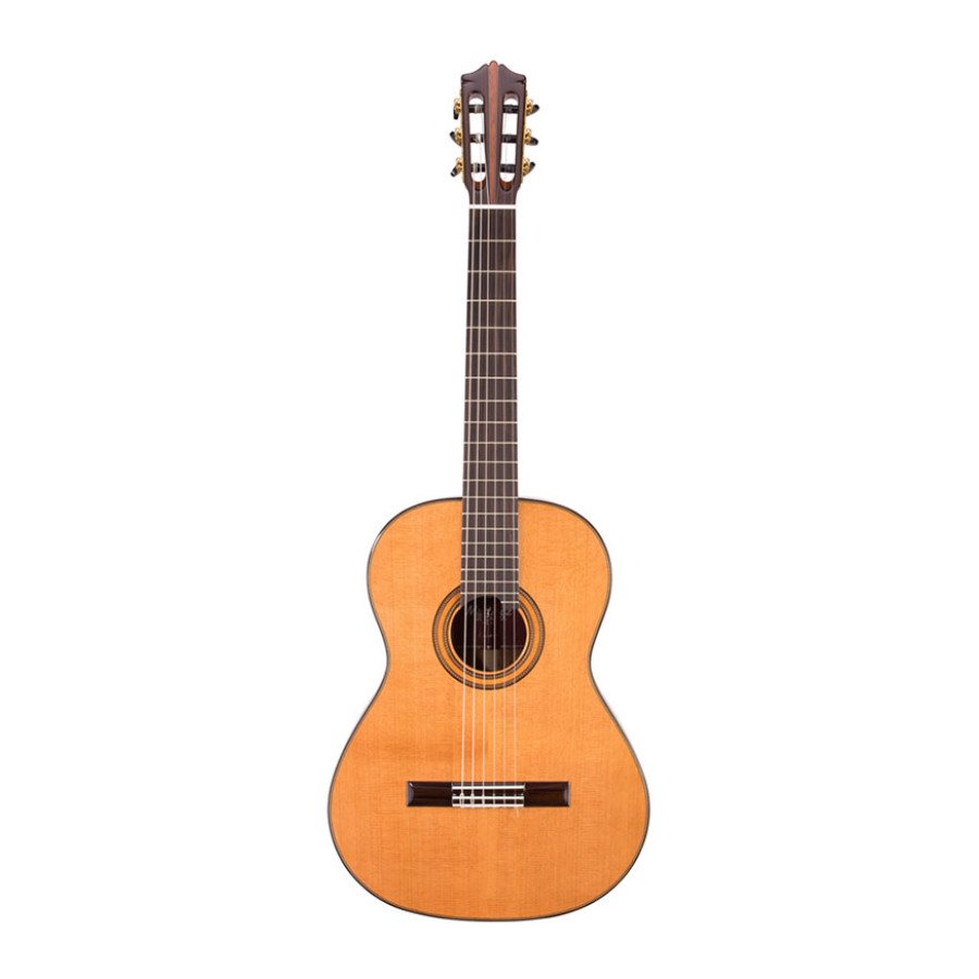 Martinez Standard MC-118C RN + Housse