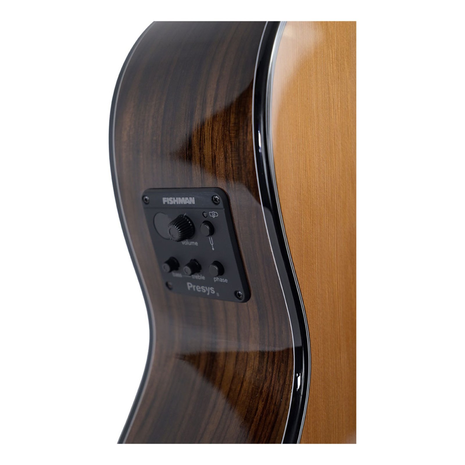 guitar-tech-martinez-standard-mc-58c-ce-rn-standard-mc-58c-ce-rn-5