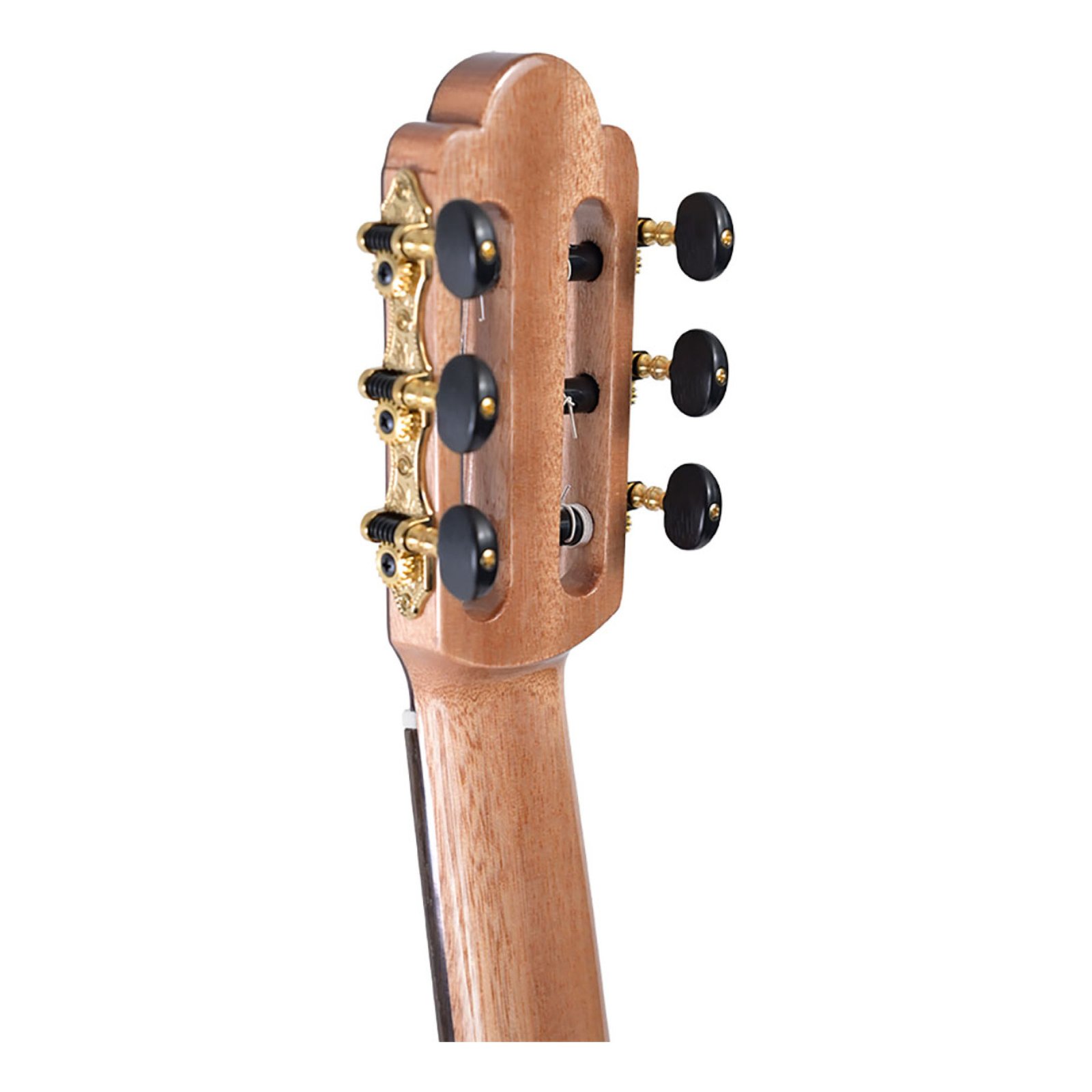 guitar-tech-martinez-torres-rosewood-1_2-rn-+-housse-torres-rosewood-1-2-rn-housse-5