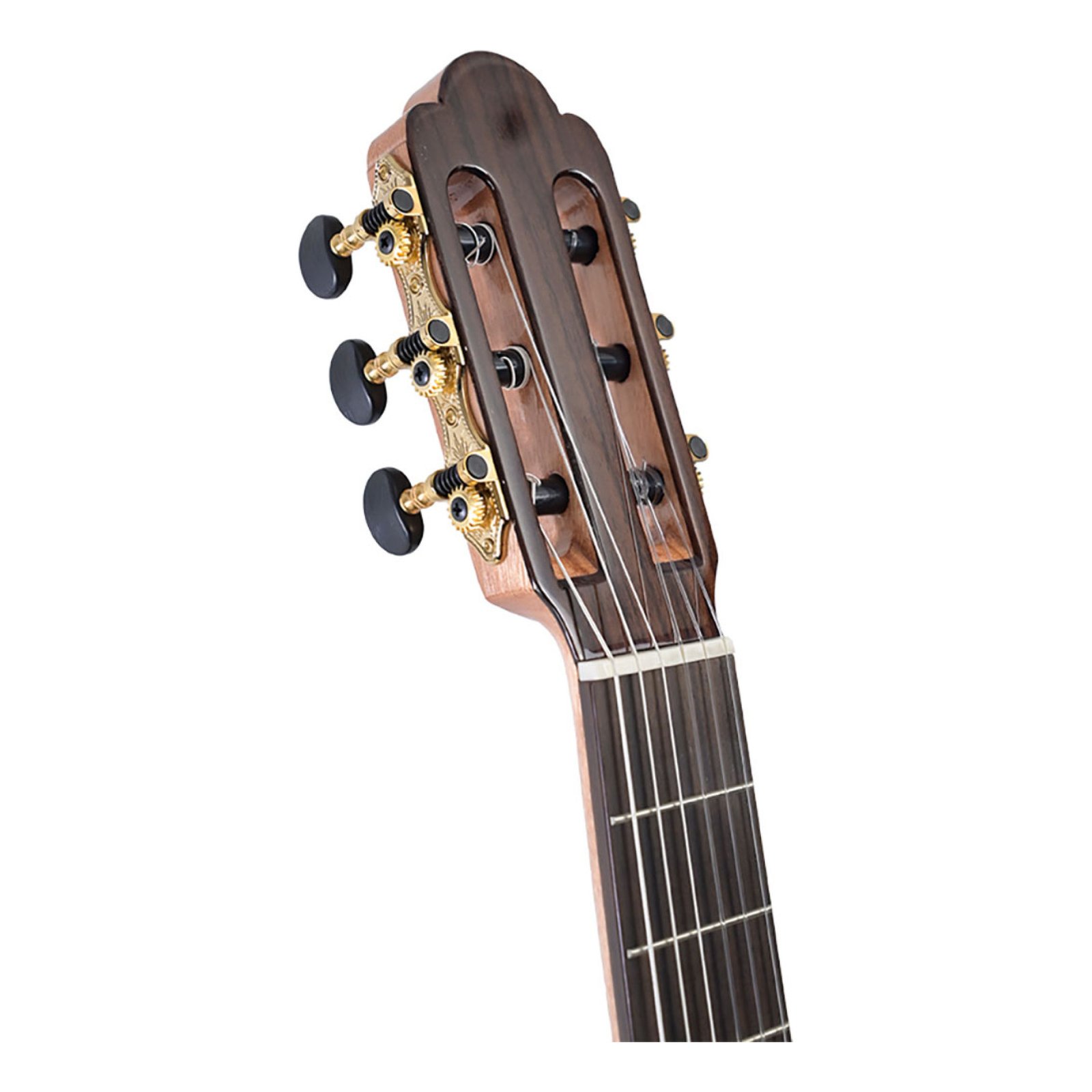 guitar-tech-martinez-torres-rosewood-1_2-rn-+-housse-torres-rosewood-1-2-rn-housse-6