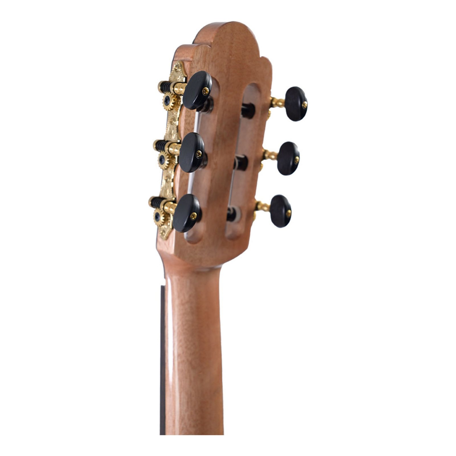 guitar-tech-martinez-torres-rosewood-1_4-rn-+-housse-torres-rosewood-1-4-rn-housse-6