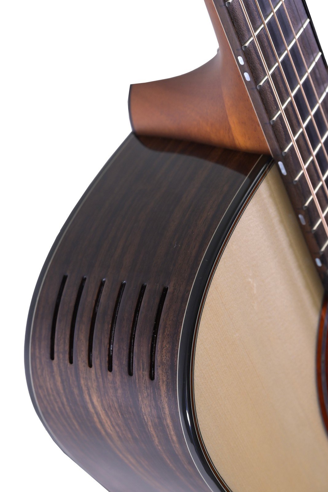 Furch Limited Edition Dread CW LR