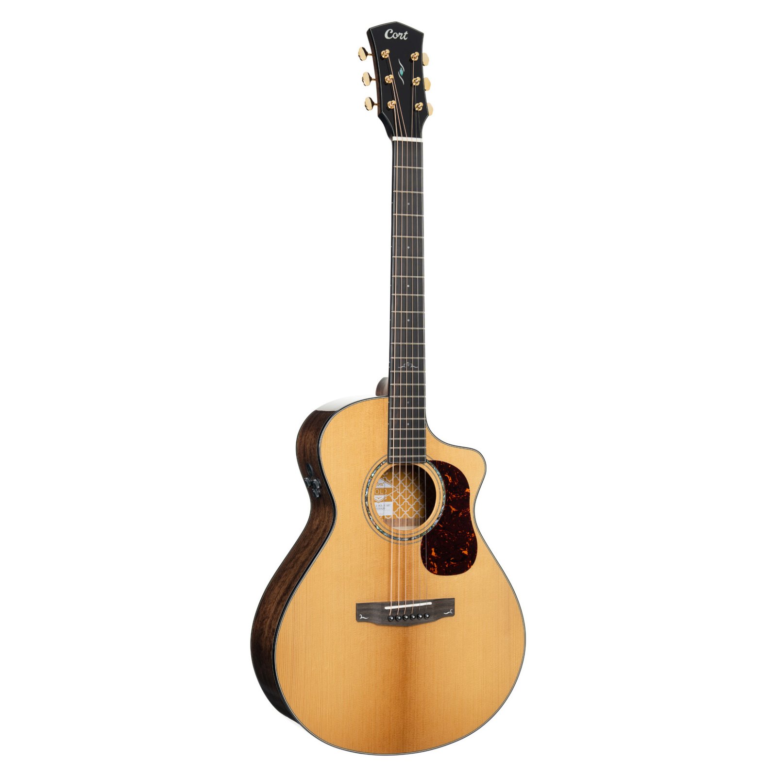 guitar-tech-cort-goldmc6ovbnat